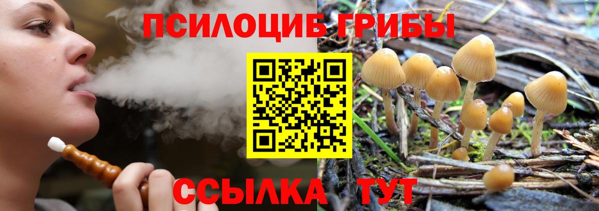 Псилоцибиновые грибы Psilocybe  как найти наркотики  Татарск  Вход с VPN  Псилоцибиновые грибы мухоморы 